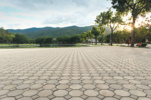 Best Residential Driveway Paver Services  in Ellisville, MO